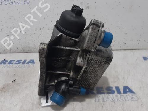Support RENAULT MASTER III Van (FV) 2.3 dCi 125 RWD (FV0C, FV0D, FV0H, FV0J, FV0A, FV0K) | BP31473807C155