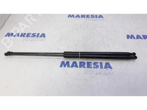 tailgate-lift-support-citroen-c4-grand-picasso-i-ua_-2006-2007-2008-2009-2010-2011-2012-2013-31488041 main image