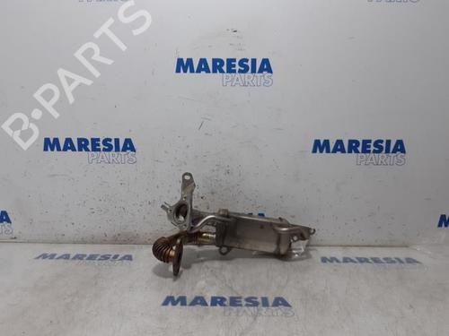 Egr RENAULT MEGANE IV Grandtour (K9A/M/N_) 1.5 dCi 110 | BP31425229M69