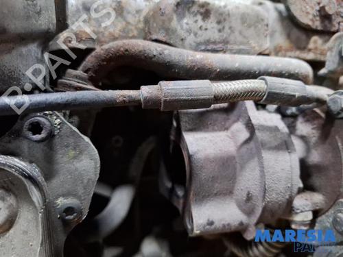 Engine FIAT PANDA (169_) 1.3 D Multijet (169.AXC1A) | BP31521097M1  - Image 9