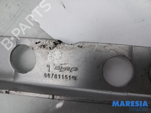 Hinge/Door check strap CITROËN C4 Picasso II 1.6 THP 155 | BP31403443C146