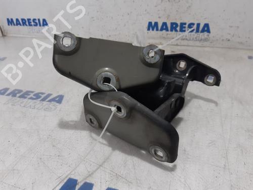 Hinge/Door check strap RENAULT TRAFIC II Van (FL) 2.5 dCi 145 (FL0J) | BP31438362C146