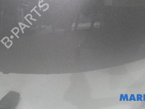 Hood PEUGEOT 206+ (2L_, 2M_) 1.4 i (2LKFWA, 2MKFWA) | BP31532387C1