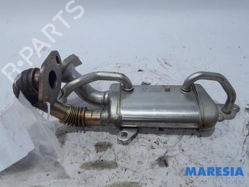 Used Egr RENAULT MEGANE IV Grandtour (K9A/M/N_) 1.5 dCi 110 (110 hp) 31499892
