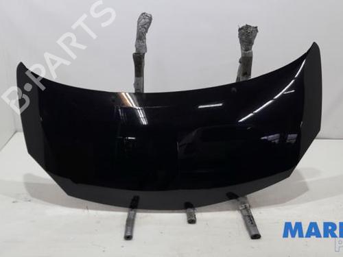 Used Hood RENAULT TWINGO II (CN0_) 1.2 (CN0D) (58 hp) 31410685