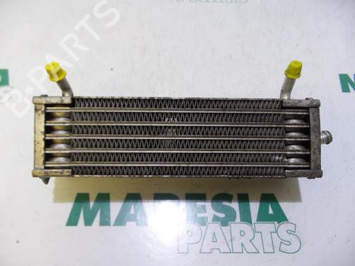 Used Oil radiator FIAT PUNTO (188_) 1.2 16V 80 (188.233, .235, .253, .255, .333, .353, .639,... (80 hp) 31411352