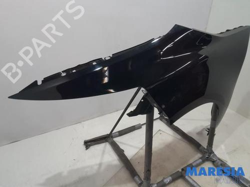Left front fenders CITROËN C4 Grand Picasso II (DA_, DE_) 1.6 VTi 120 | BP31428655C41
