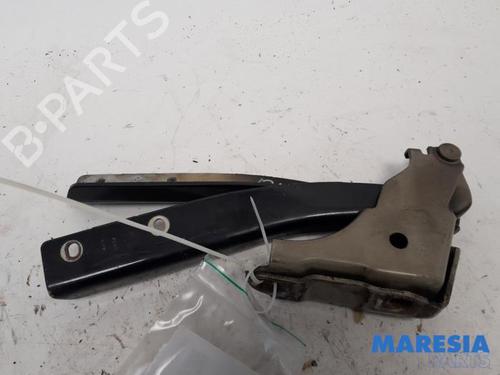 Dørhængsel/Dørbegrænser FIAT PUNTO EVO (199_) 1.3 D Multijet (84 hp) 31480038