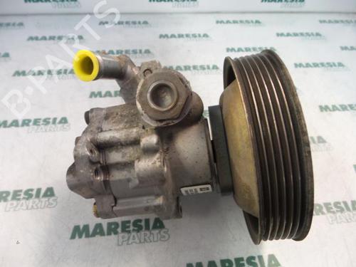 steering-pump-lancia-y-840_-1995-1996-1997-1998-1999-2000-2001-2002-2003-31439005 main image