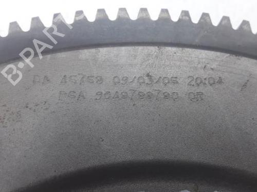  - Image 6