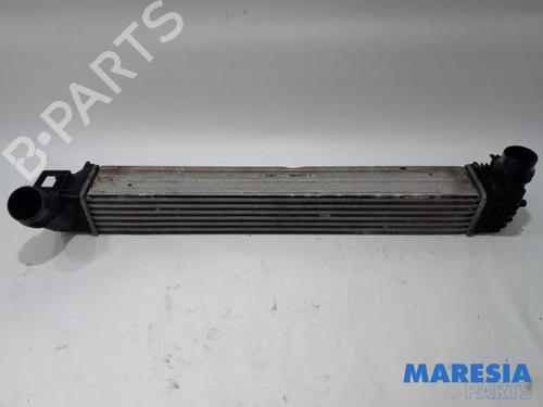 Used Intercooler RENAULT MEGANE III Coupe (DZ0/1_) 1.2 TCe (DZ2B, DZ11) (116 hp) 31435475