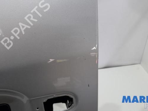 Left front door RENAULT ESPACE IV (JK0/1_) 2.0 dCi (JK01, JK02, JK1J, JK1K, JK1H) | BP31444541C2