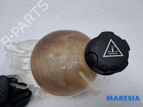 vaso-de-expansao-citroen-c3-ii-sc_-2009-31396014 main image