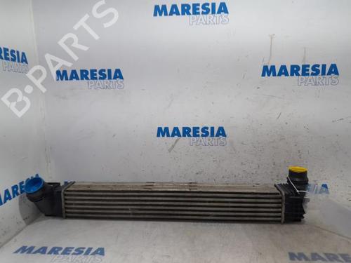 Used Intercooler RENAULT SCÉNIC III (JZ0/1_) 1.4 16V (JZ0F, JZ1V) (131 hp) 31497193