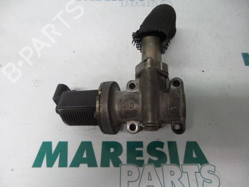 Egr FIAT CROMA (194_) 1.9 D Multijet (194AXC1B, 194AXC12) | BP31416500M69