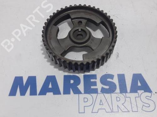 Polea CITROËN BERLINGO Box Body/MPV (B9) 1.6 HDi 90 16V (90 hp) 31387486