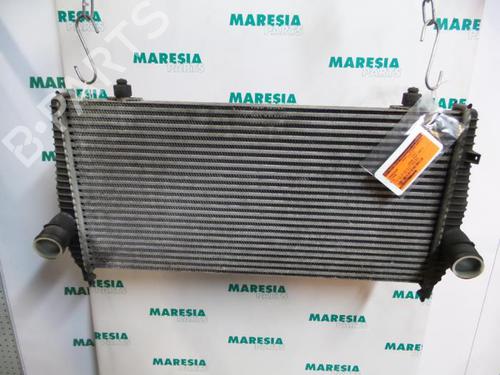 Used Intercooler CITROËN C6 (TD_) 2.7 HDi (204 hp) 31495074