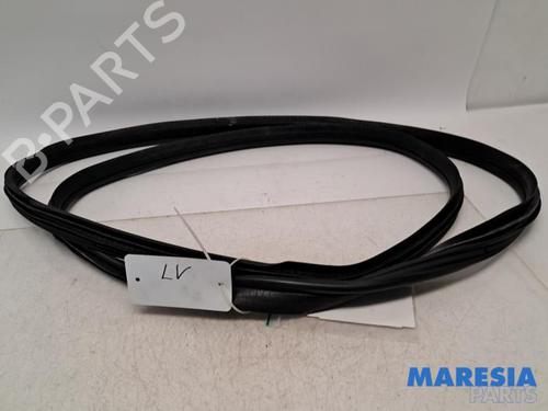 Gummiliste PEUGEOT 107 (PM_, PN_) 1.0 (68 hp) 31496718