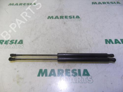 Used Tailgate lift support CITROËN C3 II (SC_) 1.6 HDi (92 hp) 31448876