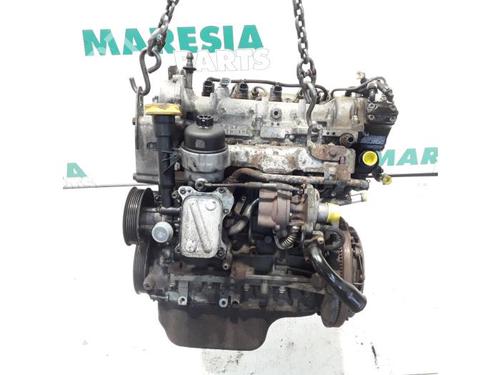 Used Engine FIAT PANDA (169_) 1.3 D Multijet (169.AXC1A) (70 hp) 31521097