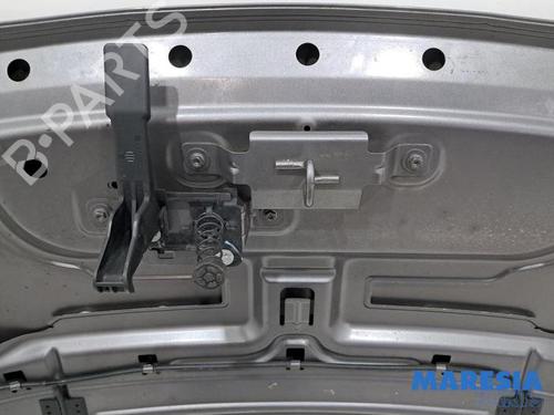 Hood RENAULT SCÉNIC III (JZ0/1_) 1.6 16V (JZ0U, JZ1B) | BP31672864C1 