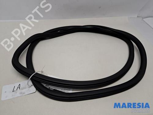 Gummiliste PEUGEOT 308 II (LB_, LP_, LW_, LH_, L3_) 1.6 THP 125 (125 hp) 31632204