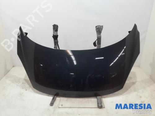 Capot Capot RENAULT SCÉNIC III (JZ0/1_) 1.4 16V (JZ0F, JZ1V) (131 hp) 31512182 31512182