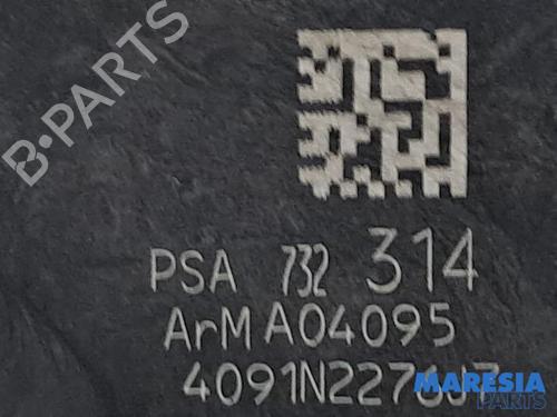 Elektronisk modul CITROËN C3 II (SC_) 1.6 HDi | BP31386362M83