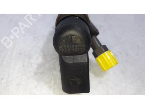 Injector CITROËN C4 Picasso I MPV (UD_) 2.0 HDi 138 | BP31423953M100