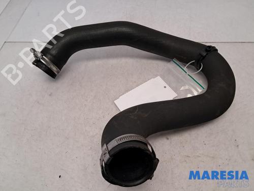 BP31491783M125 main image