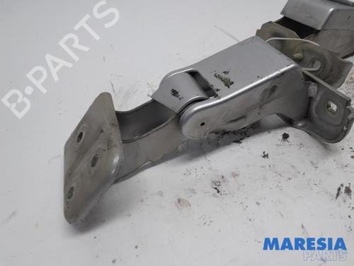 Hinge/Door check strap PEUGEOT EXPERT Van (VF3A_, VF3U_, VF3X_) 2.0 HDi 130 | BP31439732C146