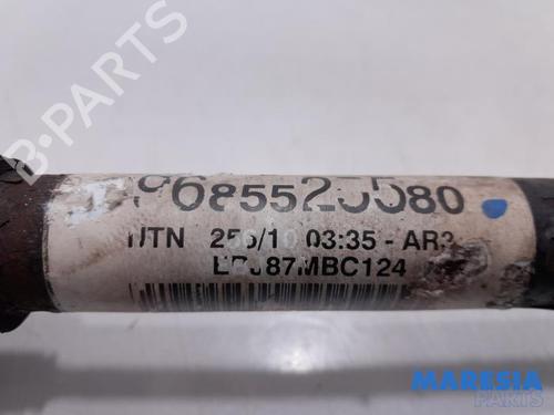 Left front driveshaft CITROËN C3 II (SC_) 1.6 VTi 120 | BP31389195M38