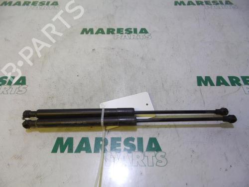 tailgate-lift-support-peugeot-207-sw-wk_-2007-2008-2009-2010-2011-2012-2013-31517684 main image