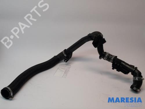 Used Exhaust system PEUGEOT EXPERT Van (V_) 2.0 BlueHDi 120 (122 hp) 31389652