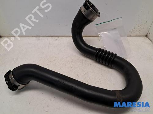 Used Exhaust system RENAULT SCÉNIC III (JZ0/1_) 1.4 16V (JZ0F, JZ1V) (131 hp) 31464856