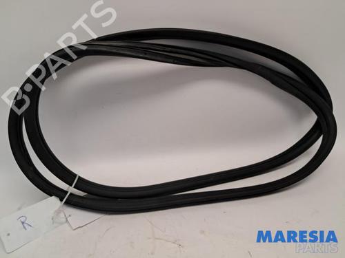 Gummiliste FIAT 500 (312_) 1.2 (312AXA1A) (69 hp) 31490095