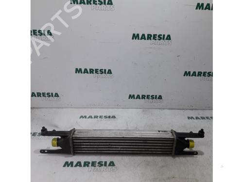 Used Intercooler FIAT PUNTO EVO (199_) 1.3 D Multijet (84 hp) 31467732