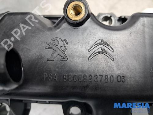  - Image 7