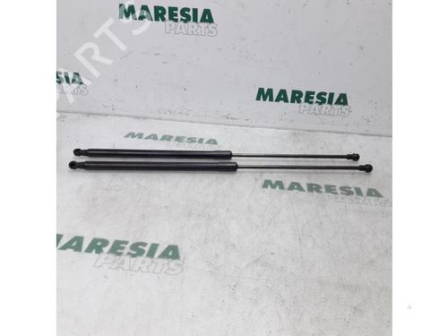 tailgate-lift-support-citroen-c4-grand-picasso-i-ua_-2006-2007-2008-2009-2010-2011-2012-2013-31524993 main image