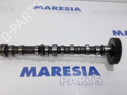 BP31481562O1 main image