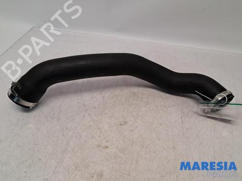 BP31534854M125 main image