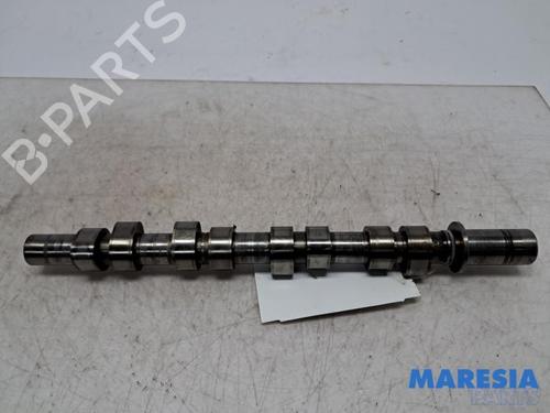 Used Other Other RENAULT TWINGO II (CN0_) 1.2 16V (CN0K, CN0V, CN0A) (76 hp) 40462832 40462832
