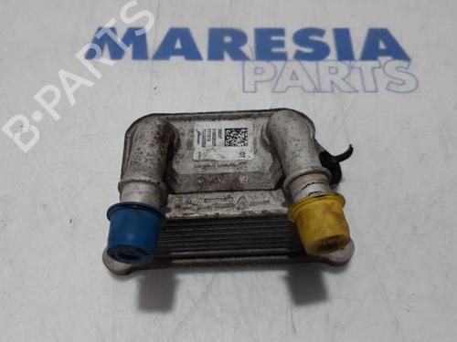 Used Oil radiator RENAULT CLIO IV Grandtour (KH_) 0.9 TCe 90 (90 hp) 31395103