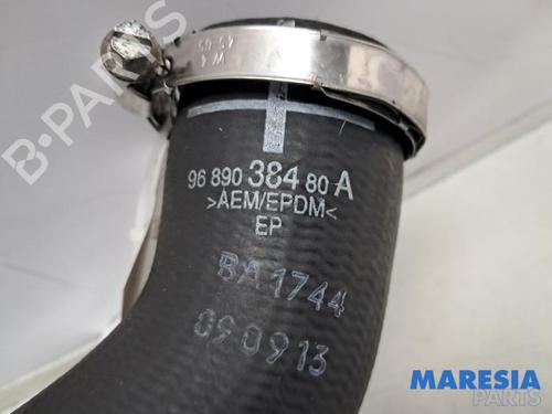 Pipe PEUGEOT 308 II (LB_, LP_, LW_, LH_, L3_) 1.6 THP 125 | BP31672830M125