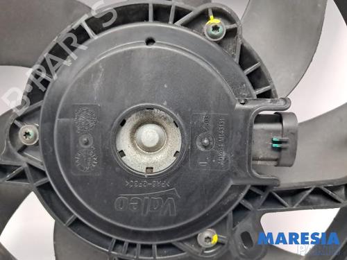 Pipe CITROËN C3 III (SX) 1.2 VTi 82 | BP31427750M125