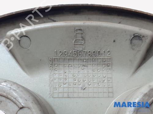 Other FIAT DUCATO Van (250_) 100 Multijet 2,2 D | BP31418291O1