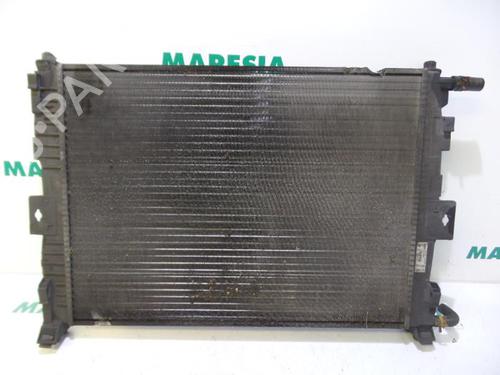 Used Water radiator RENAULT MEGANE II Coupé-Cabriolet (EM0/1_) 1.6 16V (112 hp) 31443417