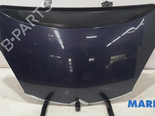 Hood CITROËN C4 Picasso I MPV (UD_) 1.6 16V | BP31469946C1 