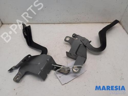 Used Hinge/Door check strap RENAULT CLIO IV (BH_) 1.2 TCe 120 (BHM0) (120 hp) 31526887