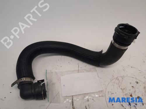 BP31446687O1 main image